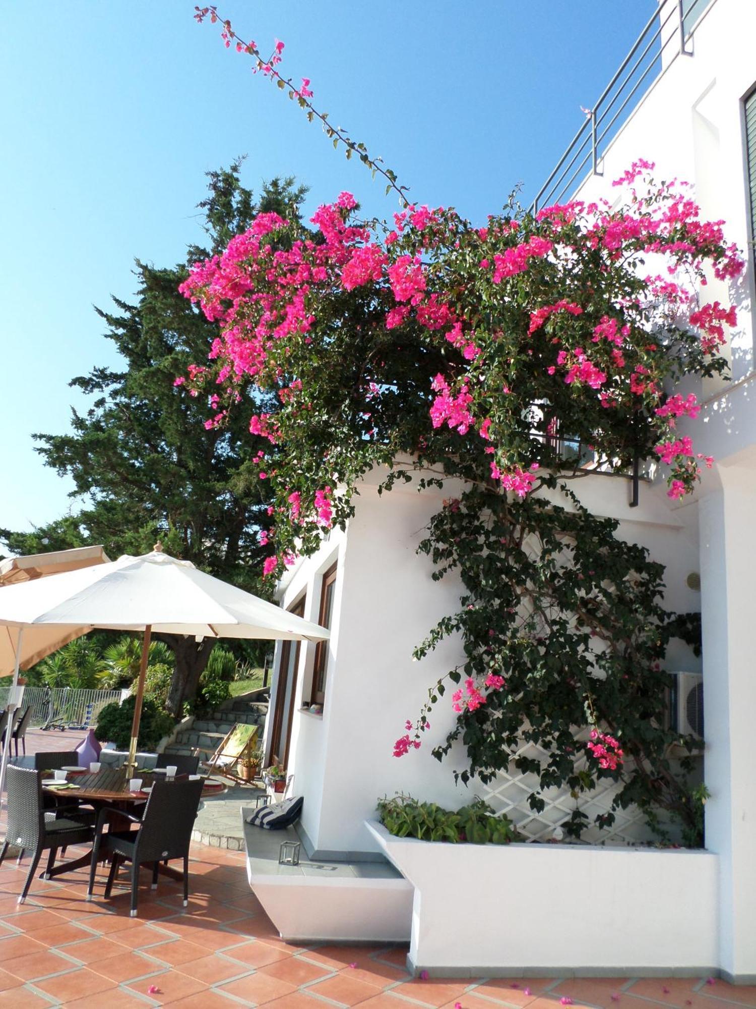 Couette-café Baia Scirocco